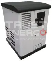 Газовый генератор REG ARCTIC GG6-230SV с АВР